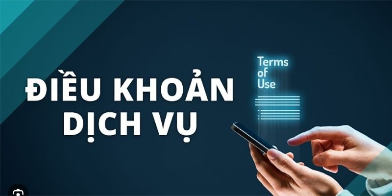 Quyền hạn cùng trách nhiệm khách hàng cần tuân thủ