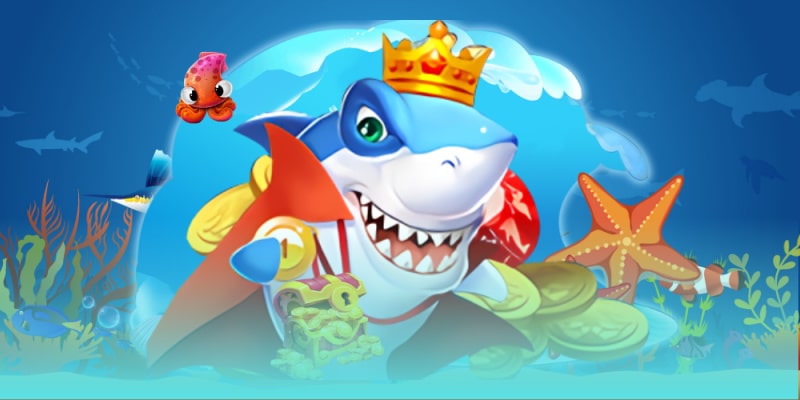 Kinh nghiệm săn cá hiệu quả từ chuyên gia tăng cơ hội thắng