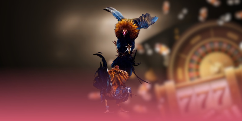 Yếu tố tạo nên sức hấp dẫn của cá cược đá gà 56WIN